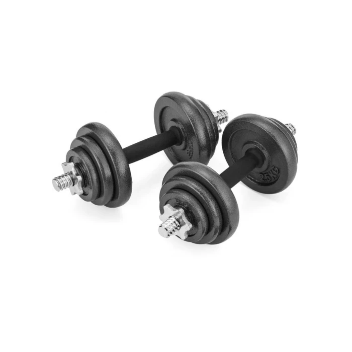 Набор гантели в кейсе Gymtek чугунные 2х10кг.