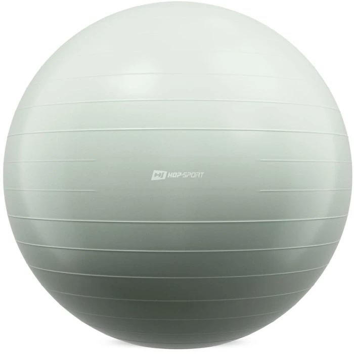 Фитбол Hop-Sport 85см шалфейный + насос