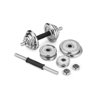 Набор гантели в кейсе Gymtek хромированные 2х10кг.