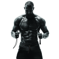 Скакалка York Fitness PVC Premium з пластиковими ручками