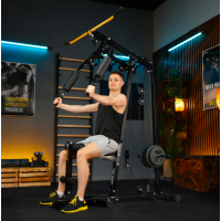 Силовая фитнес станция Trex Sport TX-450HG с верхней и нижней тягой