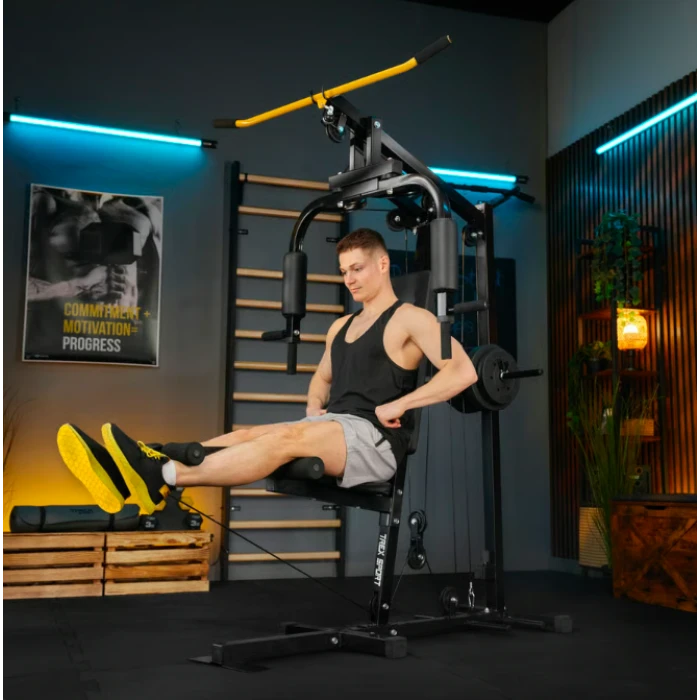 Силовая фитнес станция Trex Sport TX-450HG с верхней и нижней тягой