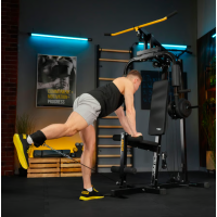 Силовая фитнес станция Trex Sport TX-450HG с верхней и нижней тягой