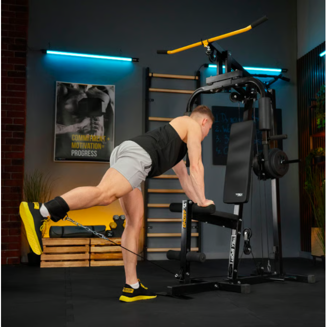 Силовая фитнес станция Trex Sport TX-450HG с верхней и нижней тягой