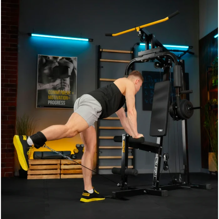 Силовая фитнес станция Trex Sport TX-450HG с верхней и нижней тягой