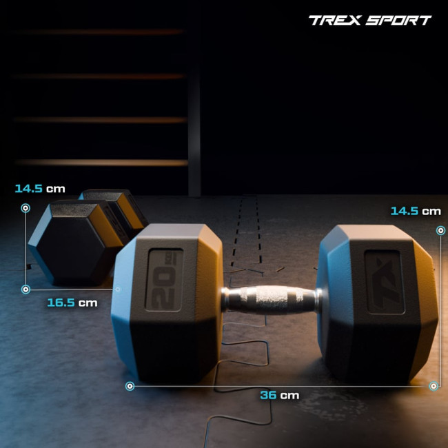 Гантеля шестигранна прогумована TX-200RD Trex Sport 20кг