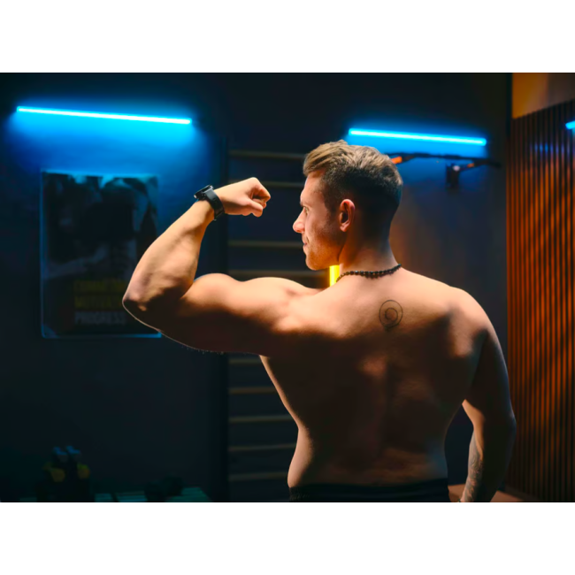 Турнік настінний Trex Sport TX-030PB чорний