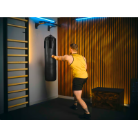 Турнік настінний Trex Sport TX-030PB чорний