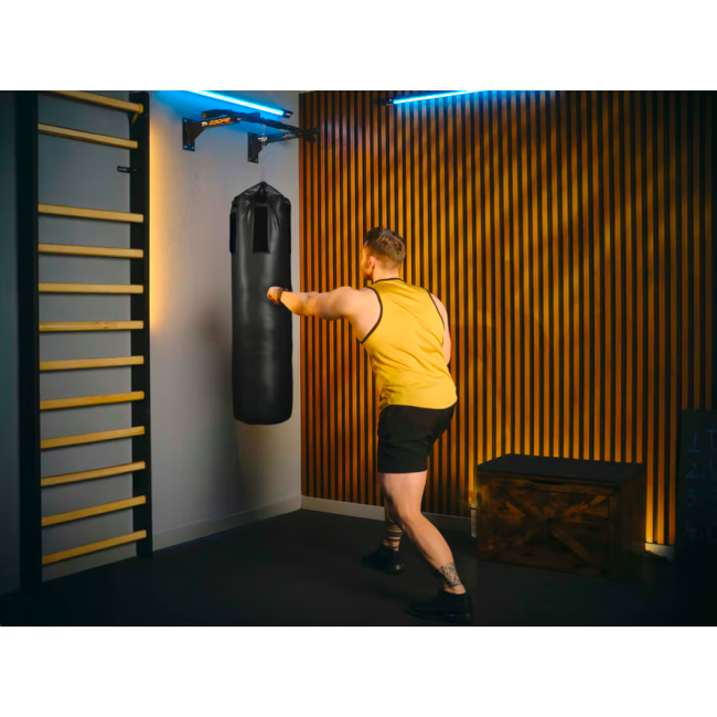 Турнік настінний Trex Sport TX-030PB чорний