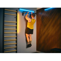 Турнік настінний Trex Sport TX-030PB чорний