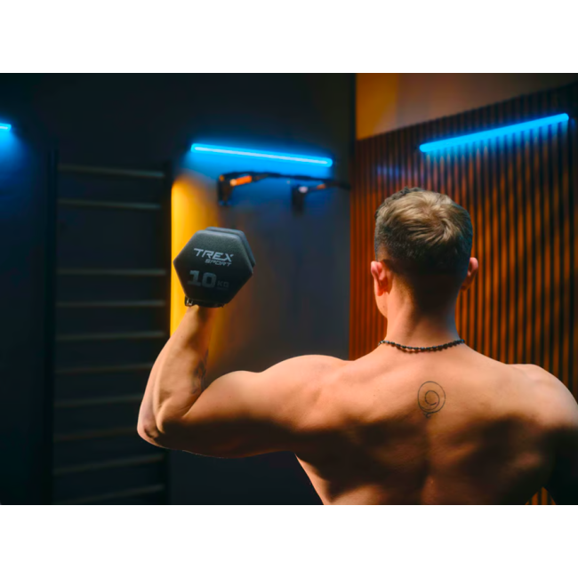 Турнік настінний Trex Sport TX-030PB чорний