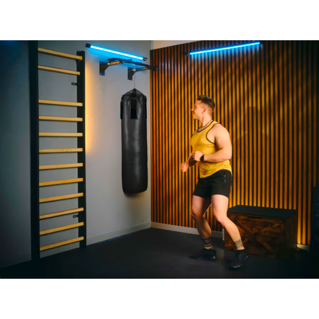 Турнік настінний Trex Sport TX-030PB чорний