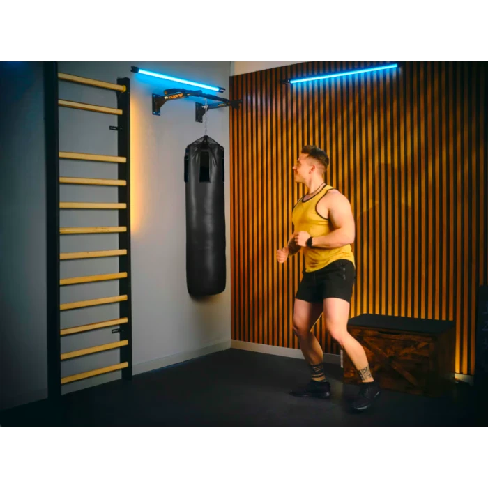 Турнік настінний Trex Sport TX-030PB чорний