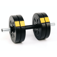 Гантелі розбірні Besport PowerPro 2х11кг