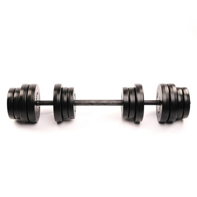 Гантелі Elitum 2х31кг + подовжувач грифа для штанги