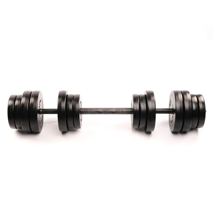 Гантелі Elitum 2х31кг + подовжувач грифа для штанги