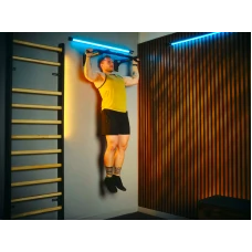 Турнік настінний Trex Sport TX-030PB чорний