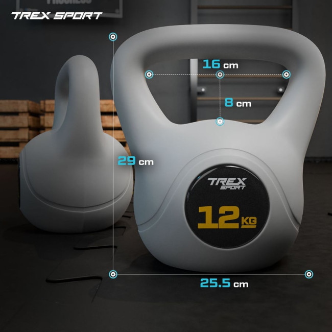 Гиря виниловая 12кг Trex Sport TX-012CKB серый