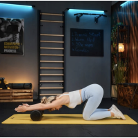 Роллер массажер Trex Sport TX-045EPR EPP соты 45см черный