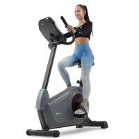 Велотренажер HS-100H Solid iConsole+ сірий