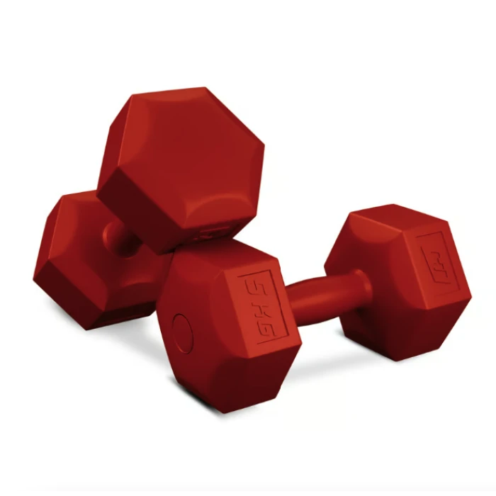 Гантели для фитнеса композитные Hop-Sport HS-C050DS 2х5кг красный