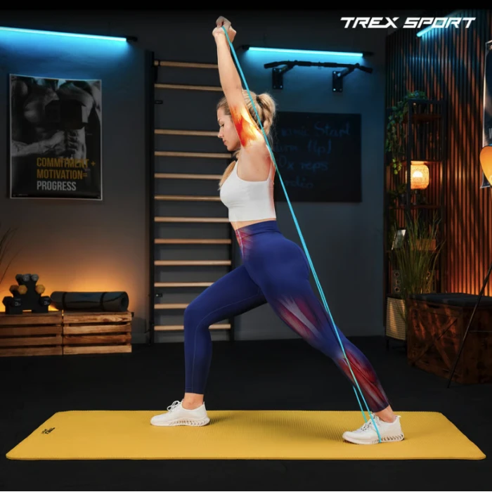 Набор резинок для фитнеса Trex Sport TX-004PB Power Band 4в1 2-41кг