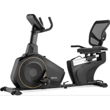 Горизонтальний велотренажер Gymtek XBR6000 електромагнітний золотистий