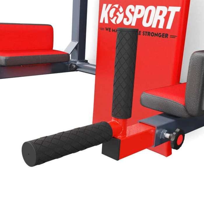 Турник с брусьями настенный для подтягиваний 2в1 K-Sport KSSL081/2