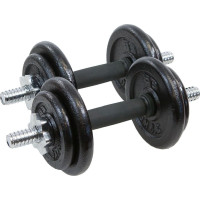 Гантель разборная чугунная Eb Fit 2 х 9,5 кг