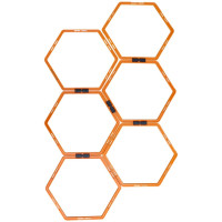 Тренировочная лестница MASTER Hexa