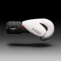 Рукавички боксерські з капою Phantom Fight Squad 16 унцій, білі