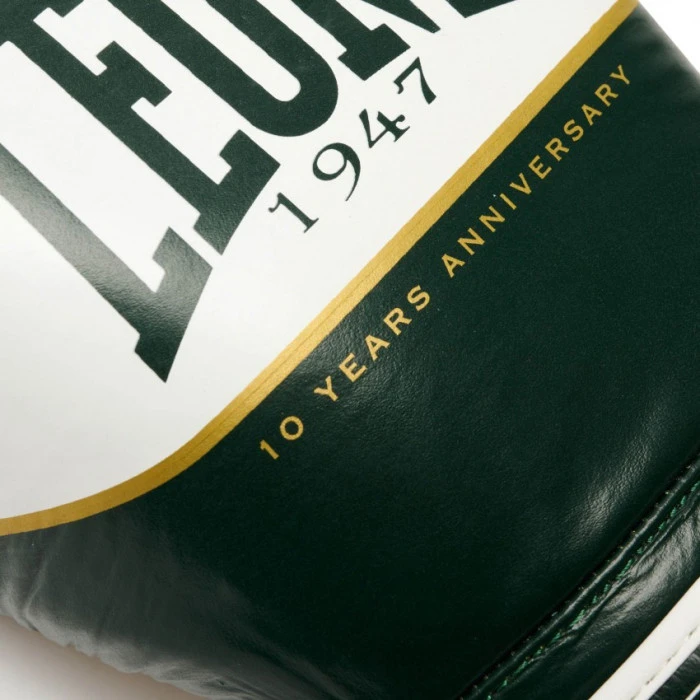 Перчатки боксерские Leone Shock X 12 унций, разноцветные