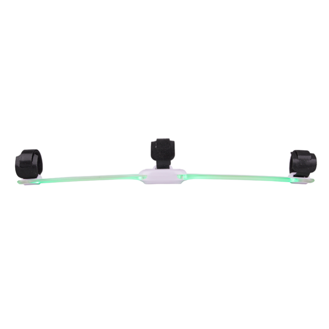 Собачий ошейник LED Light Petsaber Maxi