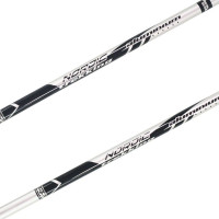 Палки для скандинавской ходьбы Best Sporting 2-секционные черные