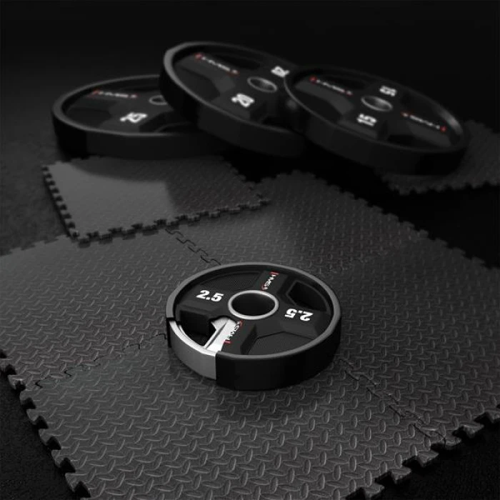 Диск олімпійський HMS TPC02 2.5 кг