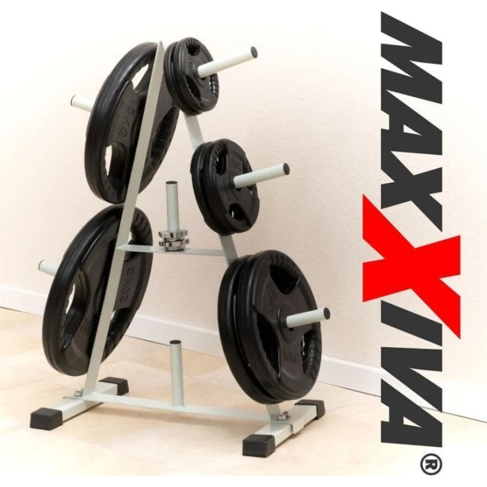 Набір дисків Maxxiva 2 х 10 кг