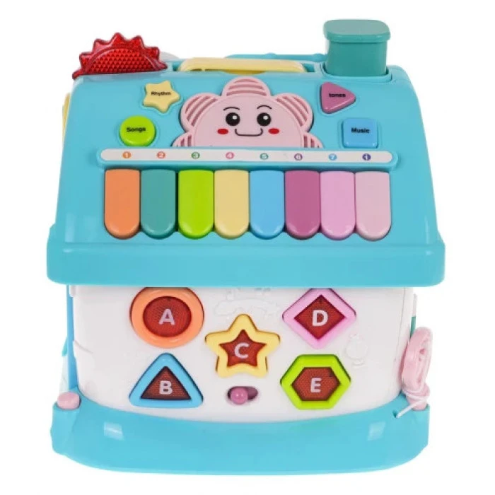 Многофункциональный Синий дом