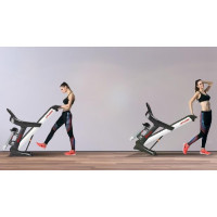 Беговая дорожка электрическая APVsport APV8000 Futura Prestige, группа 1+ дополнительное оборудование