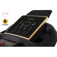 Беговая дорожка электрическая Zipro Pacemaker Gold iConsole+