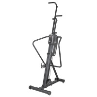 Вертикальный тренажер inSPORTline Home