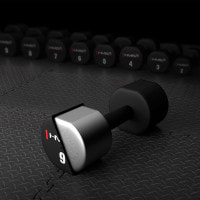 Гантелі HMS HPT09 2 х 9 кг