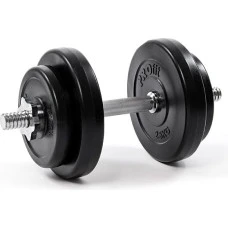 Гантель Profit чугун 1 х 10 кг