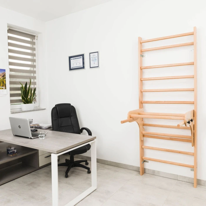 Шведская стена с аксессуарами inSPORTline Steadyline 250 x 90 см