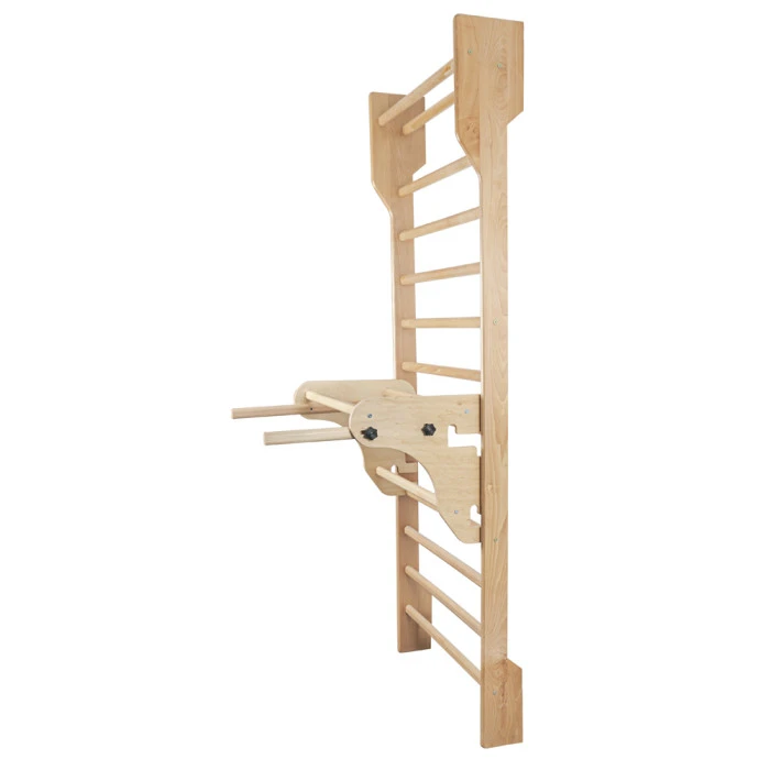 Шведская стена с аксессуарами inSPORTline Steadyline 250 x 90 см