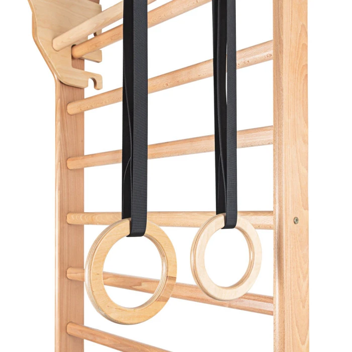 Шведская стена с аксессуарами inSPORTline Steadyline 250 x 90 см