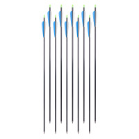 Алюмінієві стріли з наконечниками, що закручуються, inSPORTline Aluson 30” – 10 шт.