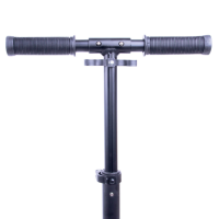 Самокат WORKER Span – зеленый