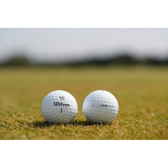 М'ячі для гольфу Wilson Staff TRIAD 12 шт, білі