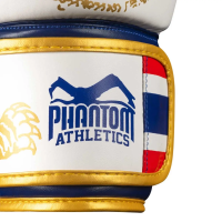 Перчатки боксерские с бинтами Phantom Muay Thai Limited Edition 14 унций, золотистые