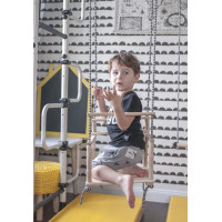 Детская игровая площадка Monkey Pegas 2